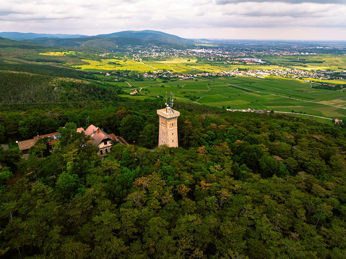 Harzberg tower