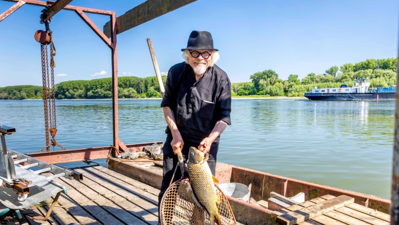 A man with a hat holds a large fish in a net on a wooden bridge on the river (Danube).