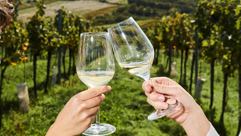 Two people clink glasses in a vineyard.