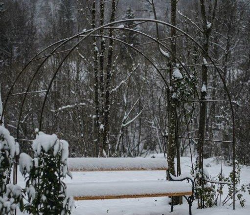 Kienberg forest, &copy; Forst Kienberg