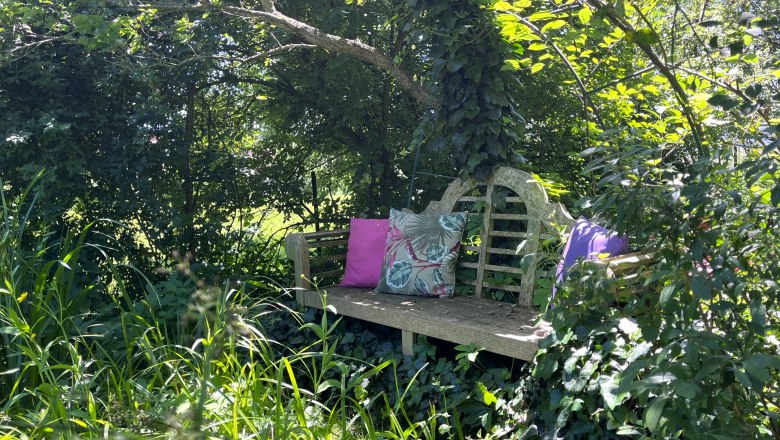 A wooden bench with colorful cushions stands under a tree in a lush, green garden.