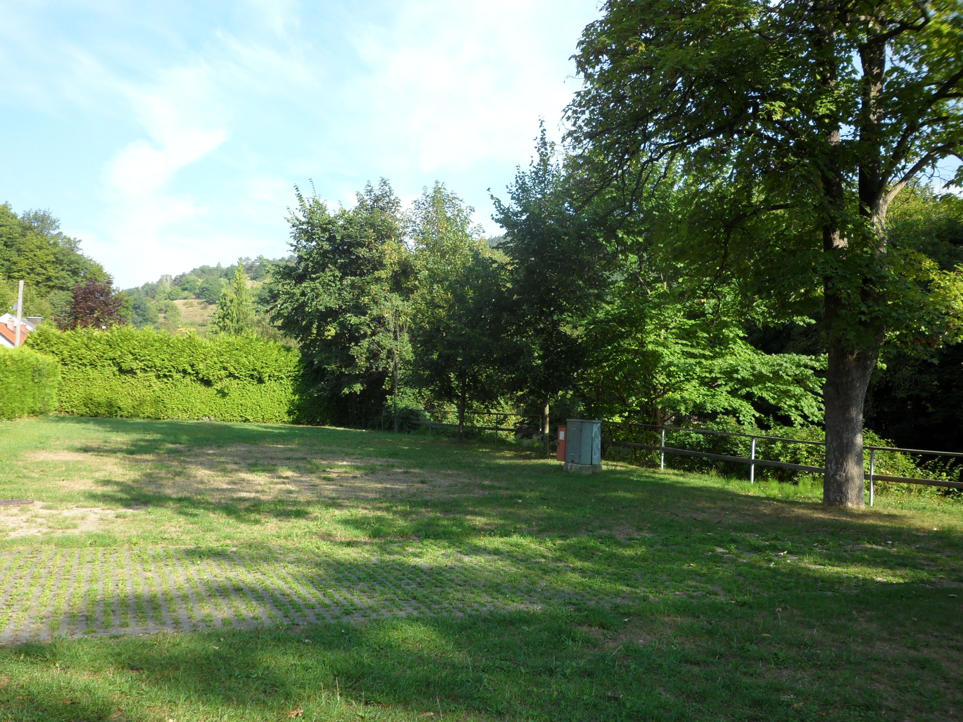 Green meadow with trees and hedges in the background, blue sky.