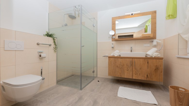 Modern bathroom with shower, washbasin and toilet.