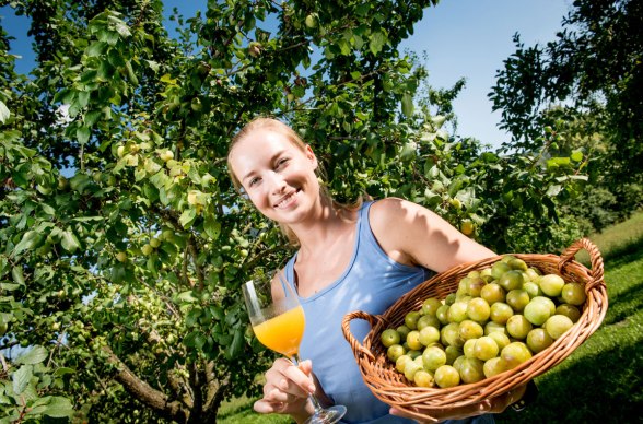 Waldviertel greengages, © Waldviertel Tourismus/www.ishootpeople.at