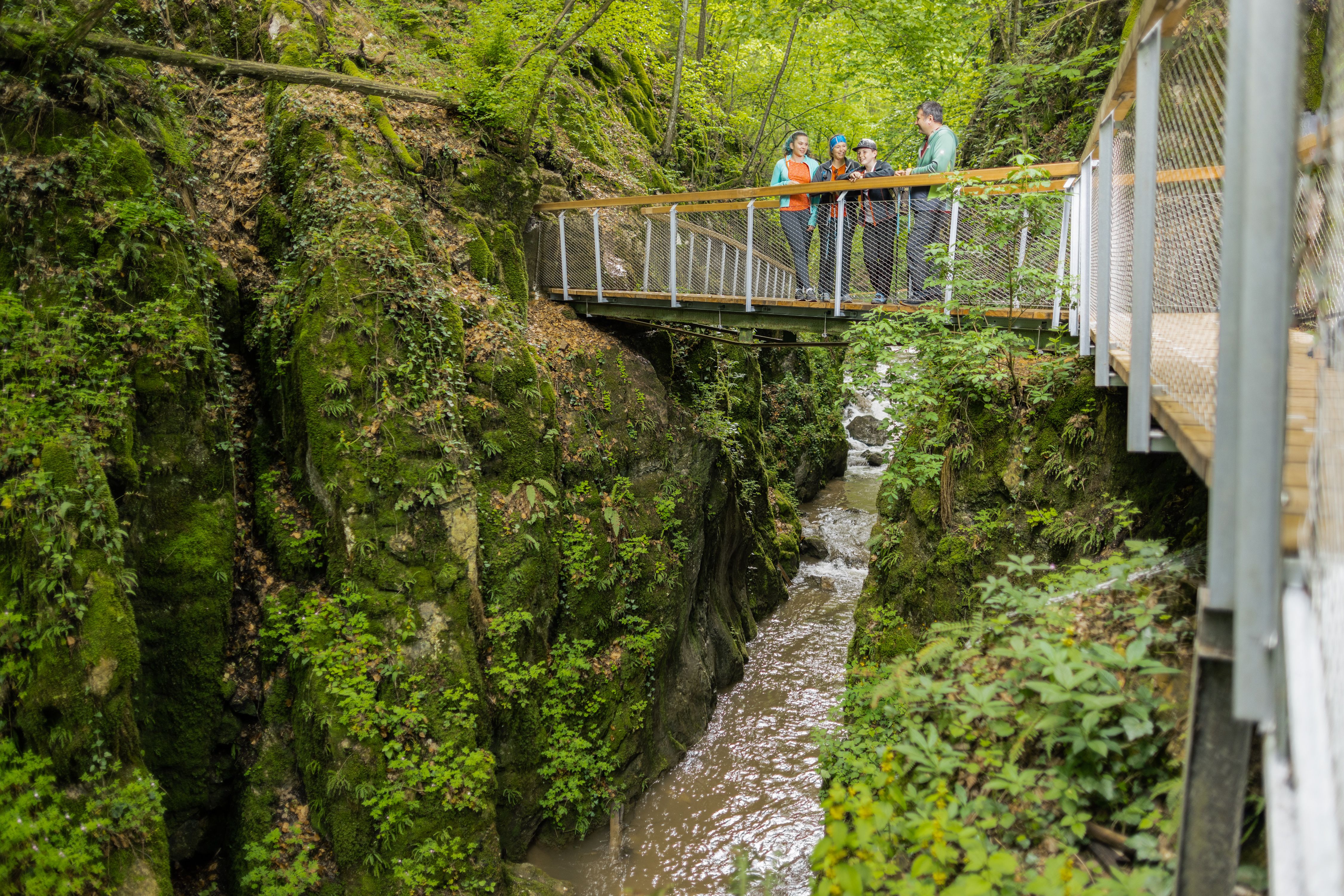 A group of people are standing on a footbridge over a wooded ravine with a stream.