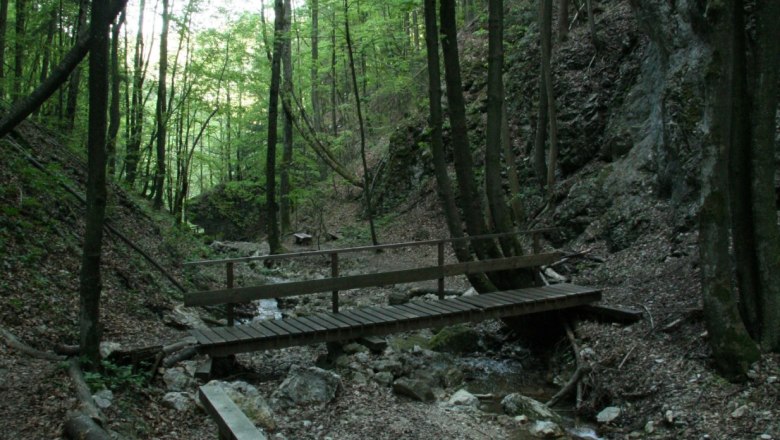 Wooden bridge over a small stream in a wooded valley.
