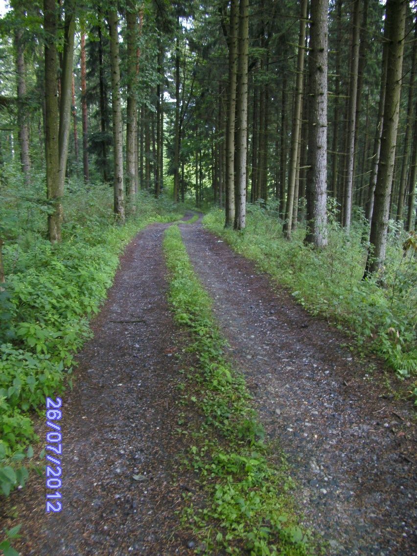 Boot path