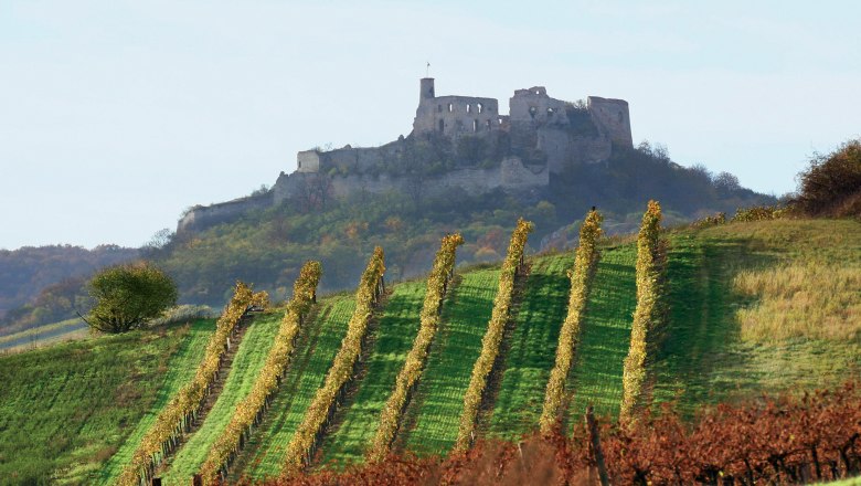 Falkenstein in Weinviertel, © WTG/ Weiss