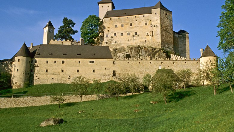 Rappottenstein Castle on a hill with a green meadow in the foreground.