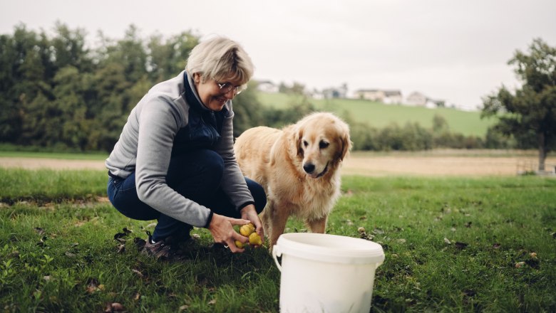 Pihringer's Moststub'n, © Moststraße, dochbodnliacht