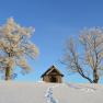 Bright blue sky in winter, © Gottfried & Rosina Wagner