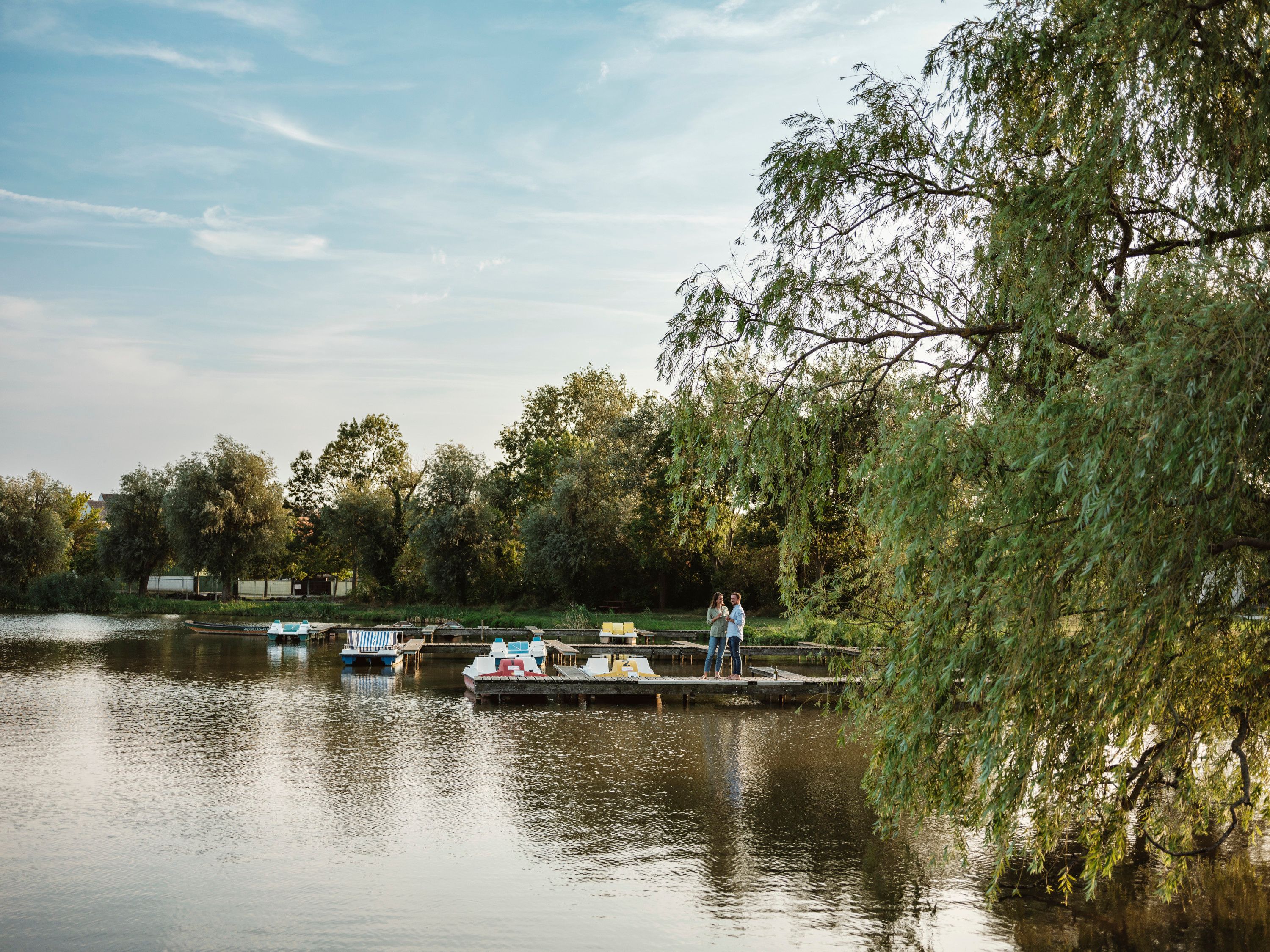 A quiet pond with boats and a jetty, surrounded by trees.