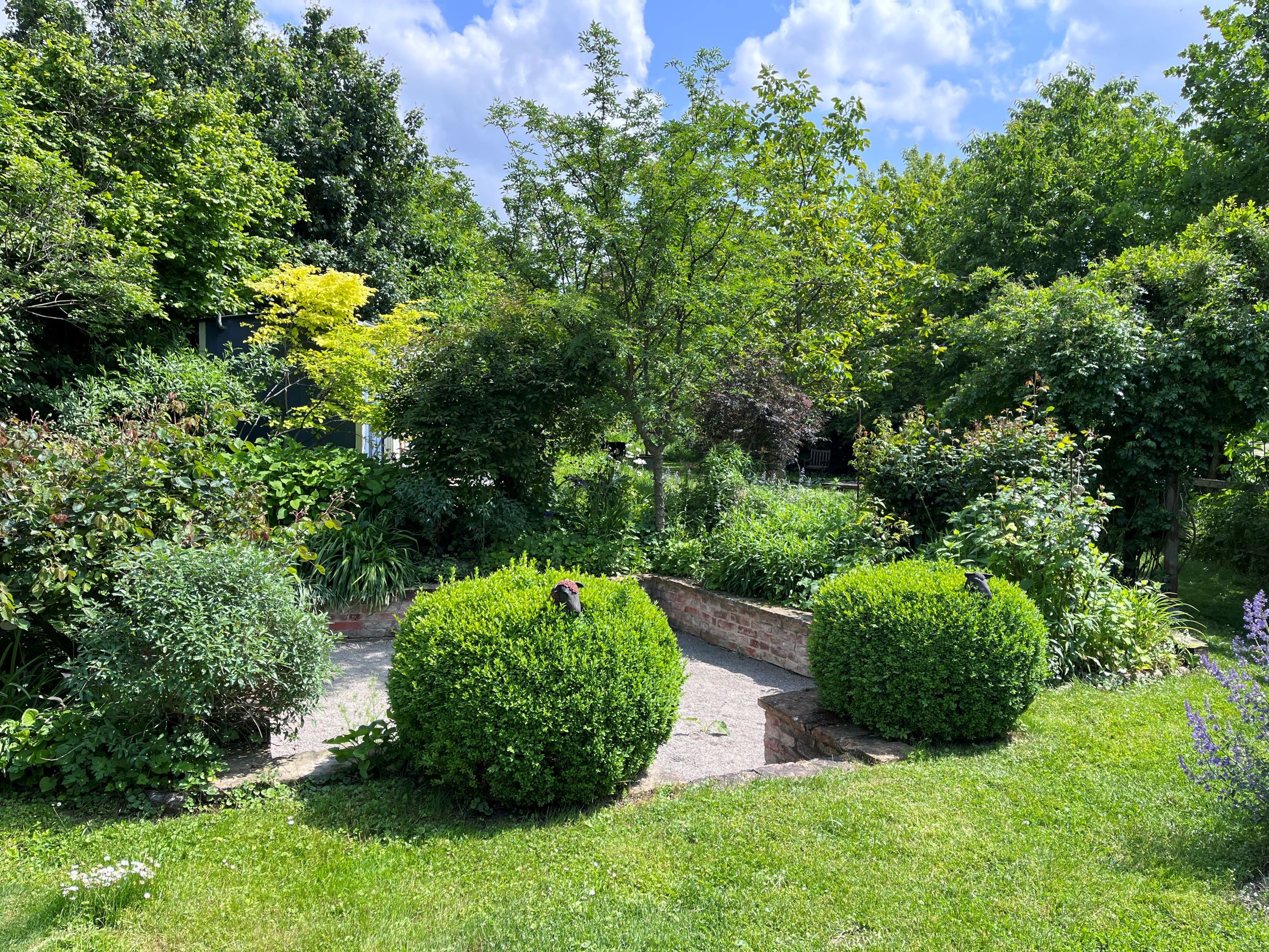 A green show garden with shrubs, trees and a paved path.