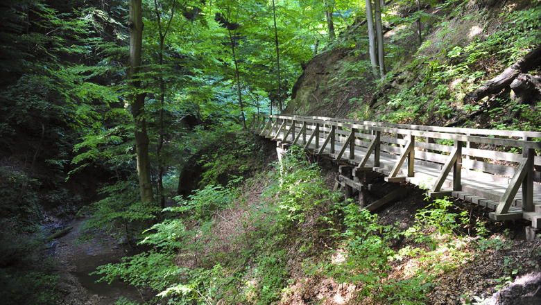Hagenbach gorge in the oak grove, © Naturparke Niederösterreich/Robert Herbst