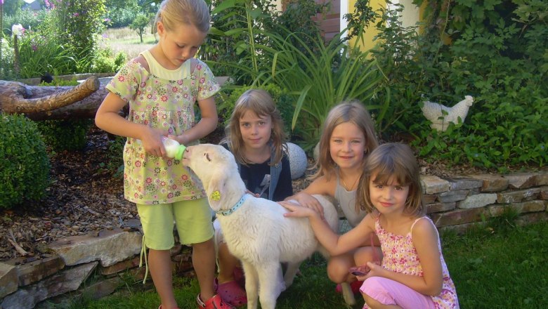 Four children in the garden with a goat drinking from a bottle.