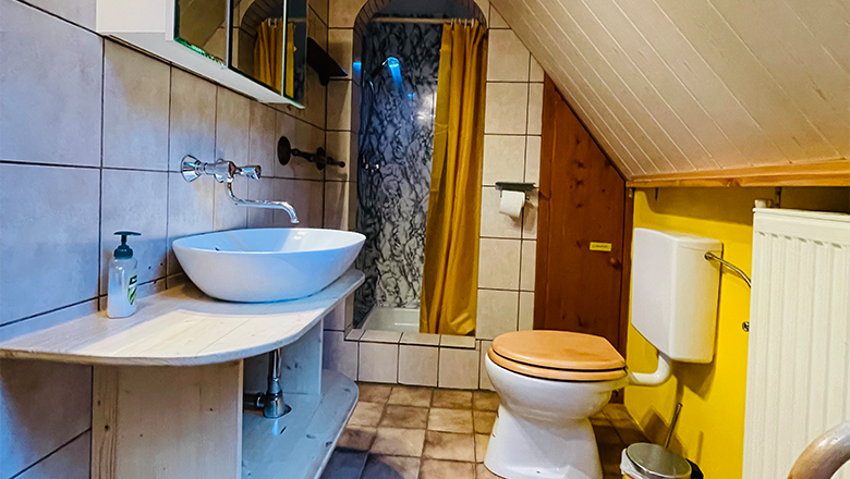 Small bathroom with washbasin, toilet and shower under a sloping roof.