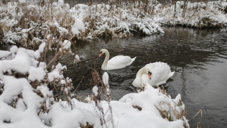Kienberg forest, &copy; Forst Kienberg