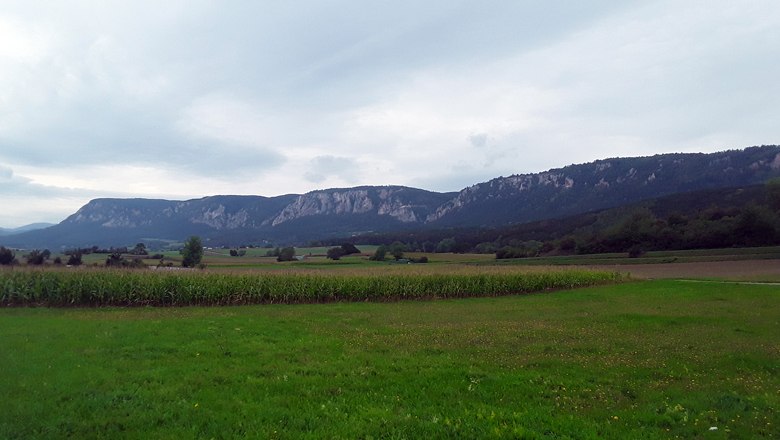 Landscape with green fields and the Hohe Wand in the background under a cloudy sky.