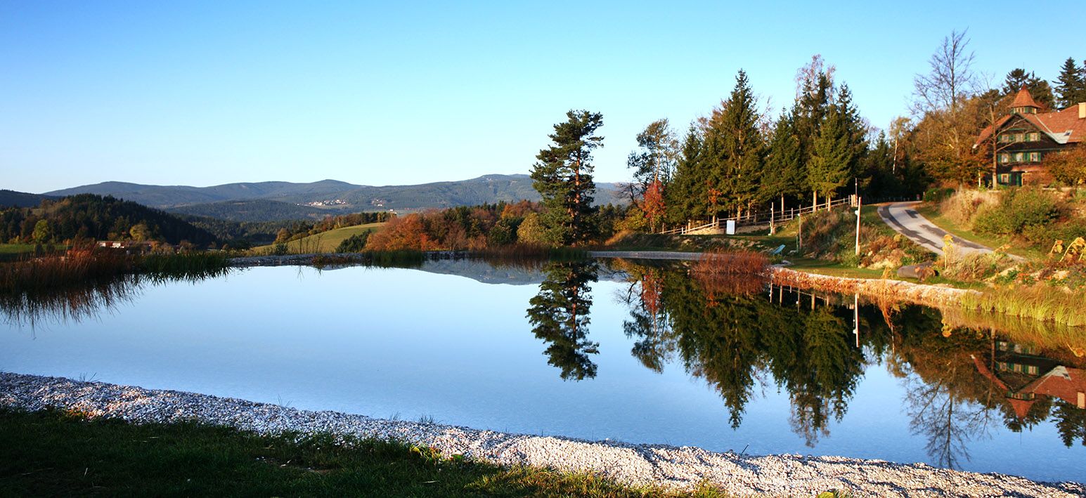 A tranquil pond reflects the trees and sky, surrounded by meadows and a house on the edge of the forest.