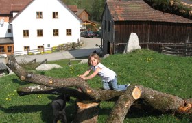 Climbing paradise for kids, © Einkehrhof Poggau