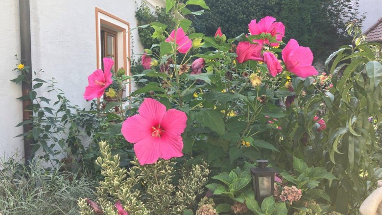 garden-at-renaissancehof-kerschner, &copy; Mostviertel Tourismus, Eva Stern