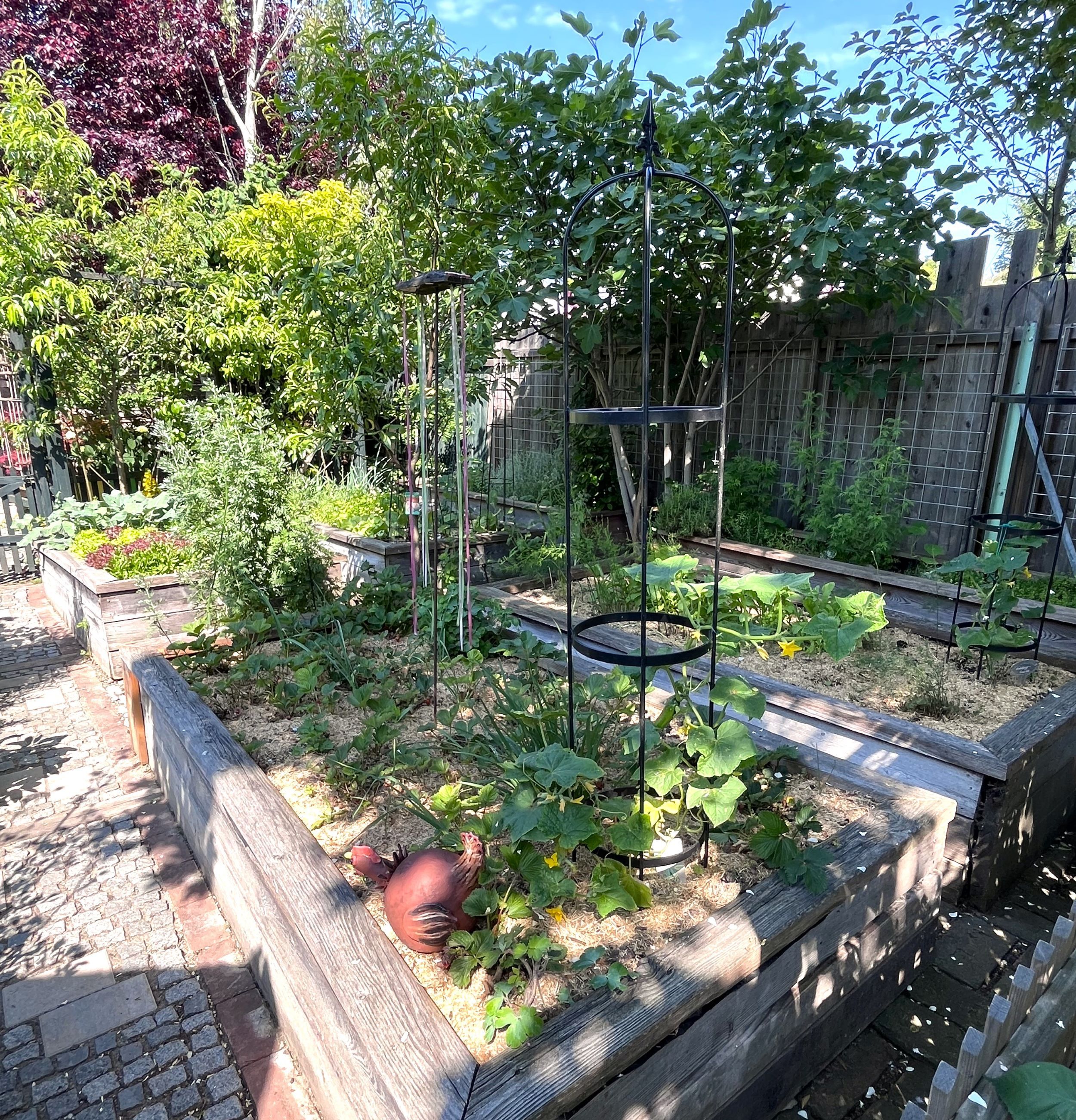 A garden with raised beds full of different vegetable plants and green vegetation.