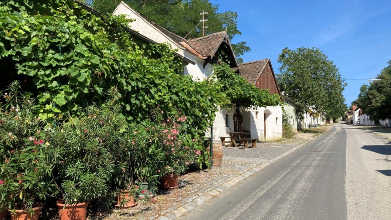 A quiet street with traditional houses surrounded by lush greenery and flowering plants.