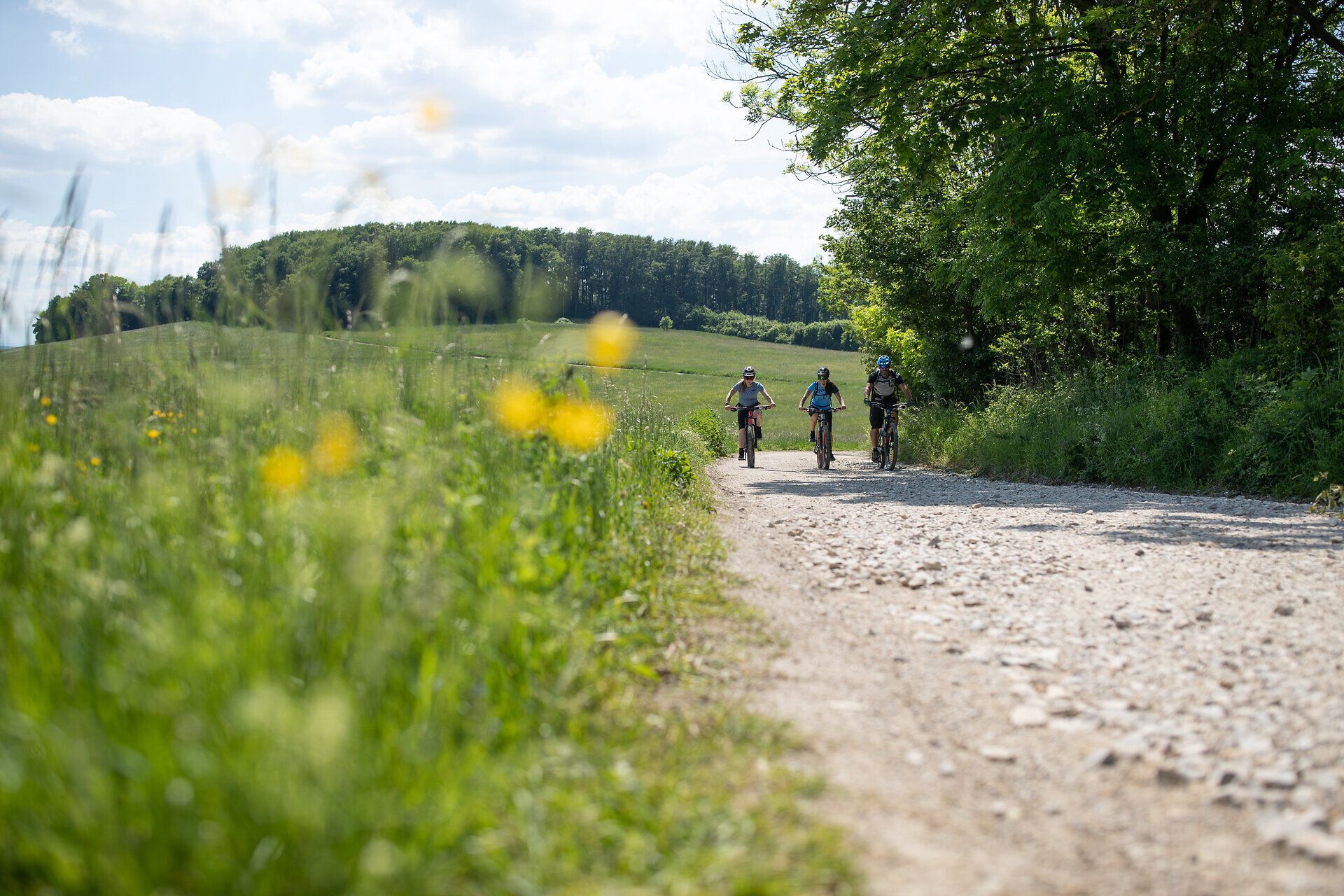 Die sanften Hügel des Wienerwaldes laden zu unvergesslichen Mountainbike-Abenteuern ein. Umgeben von üppigem Grün und blühenden Wildblumen genießen die Radfahrer die frische Sommerluft und die atemberaubenden Ausblicke auf die Landschaft. Hier wird jeder Tritt in die Pedale zu einem Erlebnis der Natur.