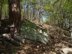 Methusalemstein, &copy; Unknown