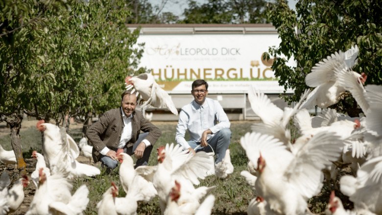 Free-range chickens, &copy; Astrid Bartl