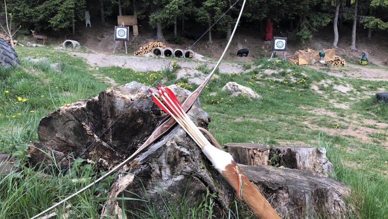 A bow and arrows lie on a tree stump in front of an archery course with targets and 3D animal dummies in the forest.