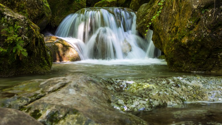 A small waterfall flows over moss-covered rocks in a wooded area.