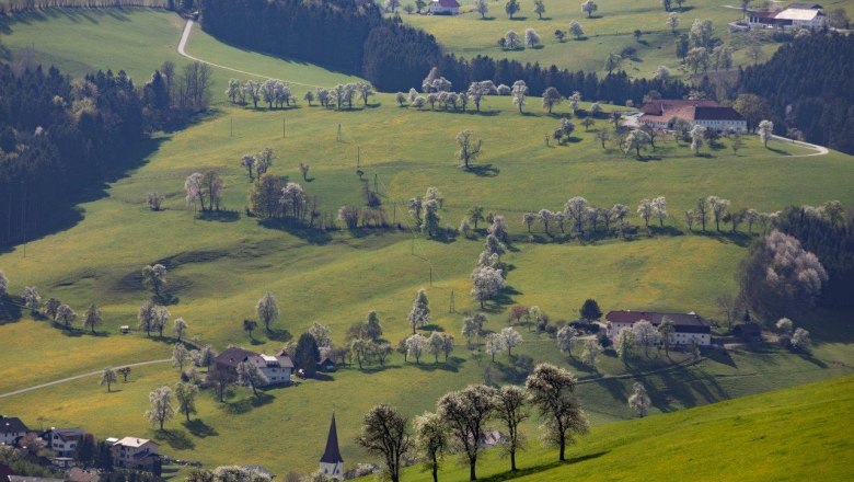 Photo point Mostviertel, © schwarz-koenig.at