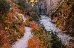 Die sanften Kurven des Pfades schlängeln sich durch die beeindruckende Schlucht, umgeben von majestätischen Felsen und leuchtenden Herbstfarben. Das glitzernde Wasser des Baches fließt ruhig und lädt zu einer erholsamen Wanderung in der unberührten Natur ein.