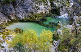 Crystal clear water in the Ötscher gorges, © Fred Lindmoser