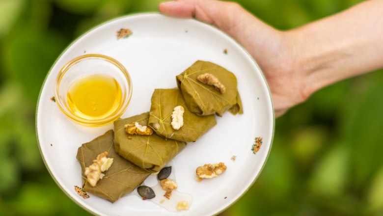 A plate of cheese wrapped in vine leaves, garnished with walnuts and a small bowl of honey, is held in one hand.