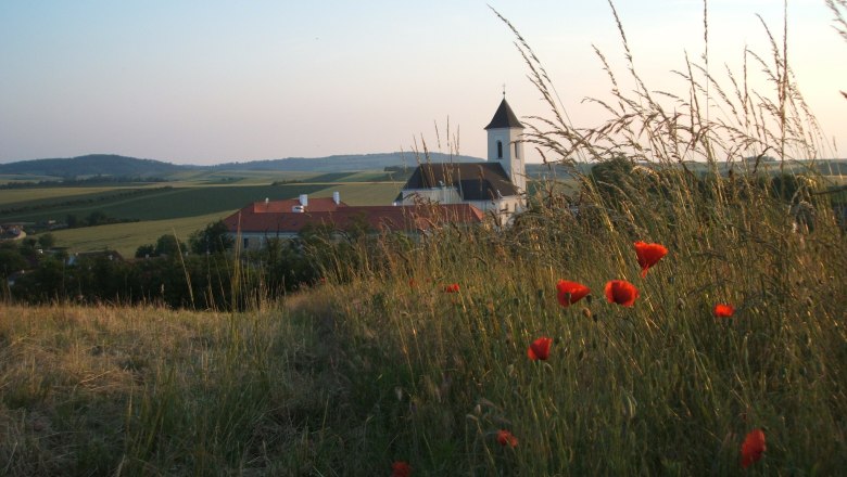 Landscape with Romanesque church in Gaubitsch, surrounded by fields and poppies.