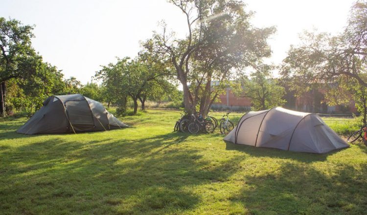 Two tents on a green meadow with trees and bicycles in the background.