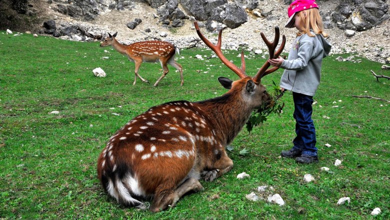 Wildpark Ernstbrunn, © WTG/Mandl