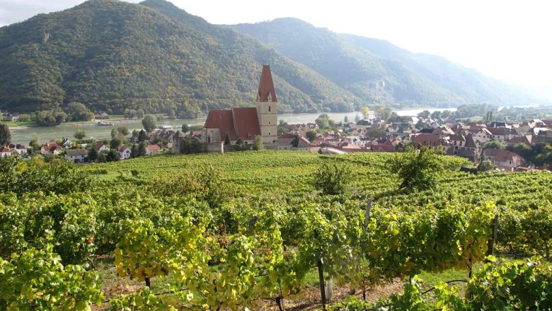 View of Weißenkirchen in der Wachau with vineyards and church in the foreground.