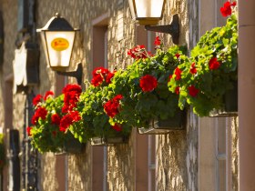 Dorfbild_BadErlach_20(c)MarktgemeindeBadErlach_HaraldWrede, &copy; Marktgemeinde Bad Erlach, Harald Wrede