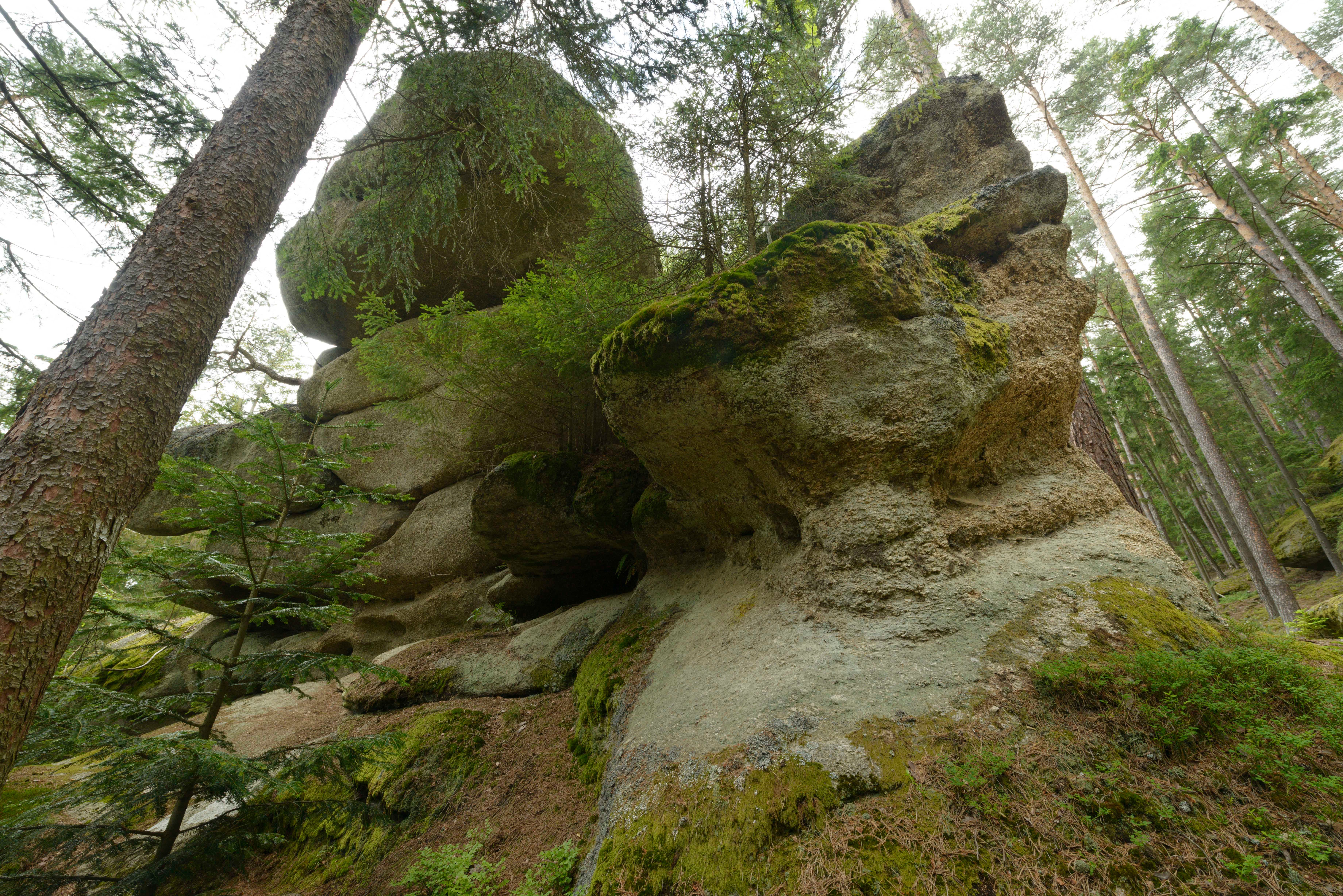 Large rock formation in the forest covered with moss.