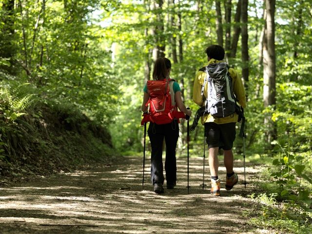 Hiking in the Bucklige Welt