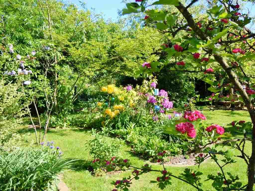 A blooming garden with colorful flowers and green trees in summer.