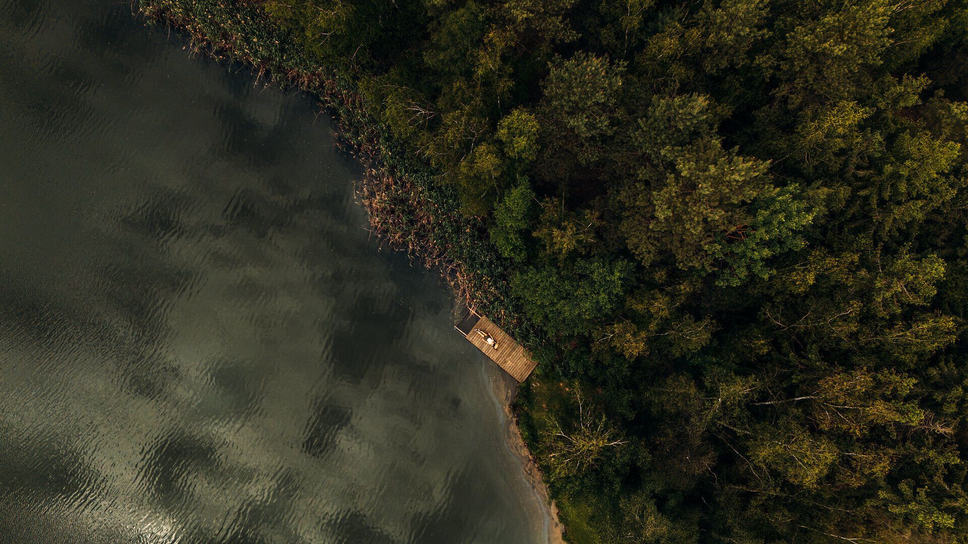 Aerial view of a small wooden jetty on the shore of a lake, surrounded by dense forest, in the Waldviertel.