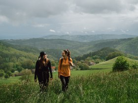 Lebensweg, Wandern, Weitwandern, &copy; Waldviertel Tourismus, Melanie T&ouml;bbe
