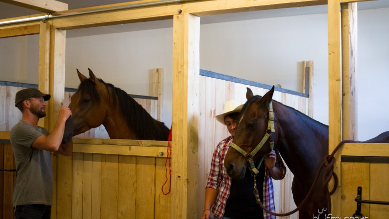 Guest boxes, &copy; Els-kwatawa Ranch