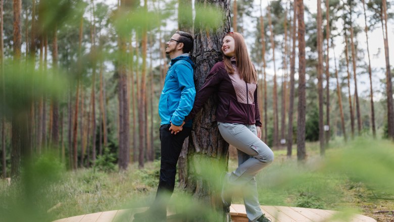 Two people leaning against a tree in the forest, standing on a wooden platform.