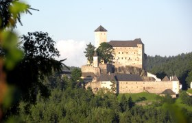 Rappottenstein Castle in the middle of a forest in daylight.
