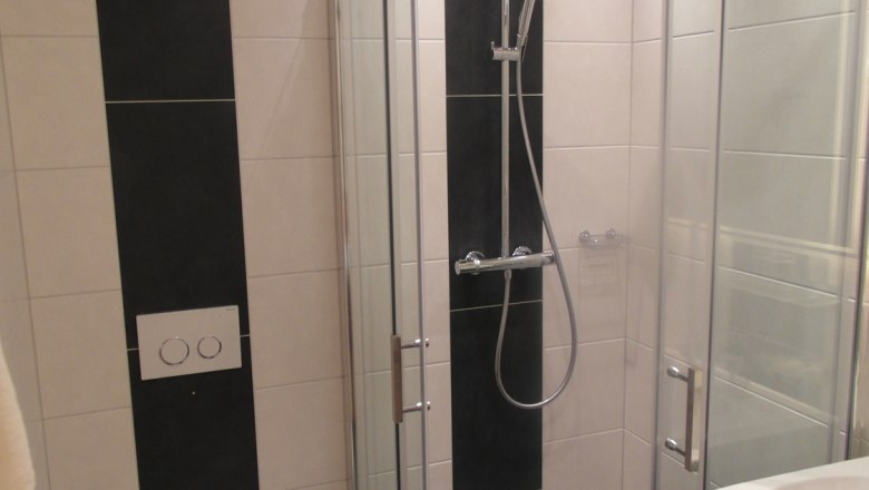 Modern bathroom with shower, toilet and washbasin.